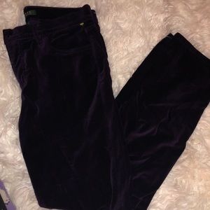 Lauren Ralph Lauren Purple Velvet Pant